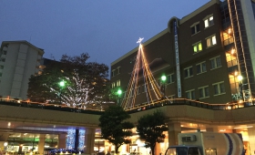 ラポルテ 2015