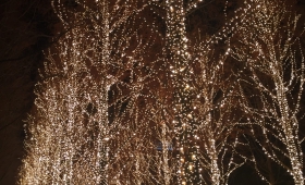 ローム 2016