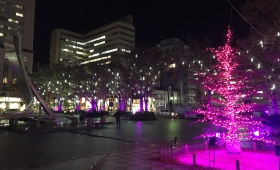 千葉中央公園 2021